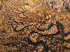 Autumn landscape with river | Stock Foto