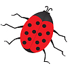 Vector clipart: Ladybug