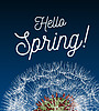 Векторный клипарт: Текстовое сообщение hello spring, на фоне