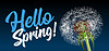 Векторный клипарт: Текстовое сообщение hello spring, на фоне