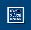 US presidential election in context of coronavirus