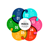 ID 7094937 | Infografía circular que muestra el proceso de 6 pasos. | Ilustración vectorial de stock ID 7094937 | Infografía circular que muestra el proceso de 6 pasos. | Ilustración vectorial de stock | CLIPARTO