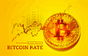 Торговля биткойнами на бирже. рост курса биткойна | Векторный клипарт