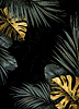 Tropische Blätter und Monstera auf Marmorhintergrund | Stock Foto