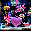 Valentine Aquarium | Stock Illustration