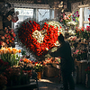 Photo 300 DPI: blooming love: valentine`s flower heart