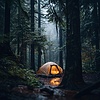 Zelt im Nebelwald | Stock Illustration