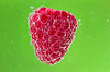 Himbeeren mit Luftblasen im Wasser | Stock Foto