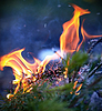Incendios forestales | Foto de stock