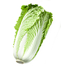 Chinakohl | Stock Foto
