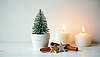 Christmas card template with tiny tree in pot, | Stock Illustration