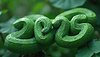 Cartel de Año Nuevo 2025 con serpiente como símbolo del Ne Lunar | Ilustración