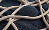 Photo 300 DPI: Abstract intertwined beige and blue textured