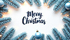 Photo 300 DPI: Christmas greeting card with branches and baubles.