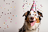 Dog celebrating birthday wearing cone hat. Happy | Stock Illustration