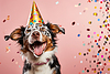 Dog celebrating birthday wearing cone hat. Happy | Stock Illustration