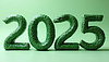 2025 New Year sign with snake as symbol of Lunar Ne | Stock Illustration