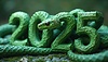 Cartel de Año Nuevo 2025 con serpiente como símbolo del Ne Lunar | Ilustración