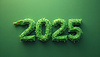 Cartel de Año Nuevo 2025 con serpiente como símbolo del Ne Lunar | Ilustración