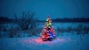 Illuminated Christmas tree with colorful garland | Stock Foto