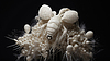 Surrealer 3D-Hintergrund mit sehr detaillierten | Stock Illustration