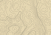 Topographic map background with altitude lines.