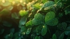 St. Patrick`s Day symbol. four-leaf clover with | Stock Illustration