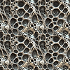 Photo 300 DPI: Abstract seamless organic pattern with cellular