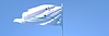 3D-Wiedergabe der Nationalflagge des Mercosur winkend | Stock Illustration