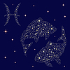 Vector clipart: Zodiac sign Pisces on starry sky