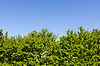 Cobertura y el cielo | Foto de stock