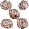 Hause Wurst | Stock Foto