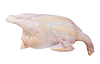Pollo crudo | Foto de stock