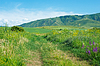 Paisaje de verano | Foto de stock
