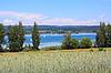 Paisaje | Foto de stock