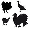Vector clipart: Collection of silhouettes of turkeys