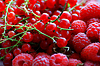 Background of ripe berries | Stock Foto