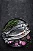 Seebarsch Fisch | Stock Foto