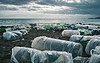 Basura en bolsas de plástico en la orilla del mar, océano | Foto de stock