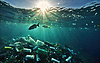 Pila de basura en el fondo del mar / océano, entorno | Foto de stock
