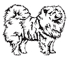Vector clipart: Decorative Chow Chow