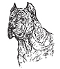 Vector clipart: Dog head in profil hand drawing
