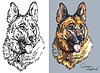 Vector clipart: German shepherd in color and black and white