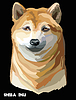 Vector clipart: Colored dog Shiba Inu portrait