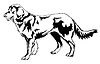 Decorative standing portrait of Dog (shepherd)