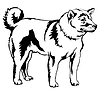 Decorative standing portrait of dog Shiba Inu,