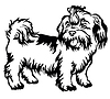 Decorative standing portrait of dog shih-tzu,