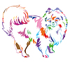 Vector clipart: Decorative standing portrait of Dog Pomeranian