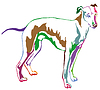 Decorative standing portrait of dog Whippet,
