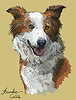Vector clipart: Border collie red color